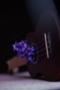 Violet flowers on a black guitar