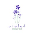 Bouquet of wild violets isolated on white background Royalty Free Stock Photo