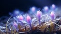 Violet Flowers In Hyperrealistic Macro: A Photorealistic Journey
