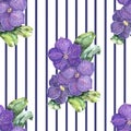 Violet  flowers orchid. Floral seamless pattern. Royalty Free Stock Photo