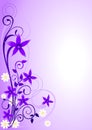 Violet Flowers Ornament_2 Royalty Free Stock Photo