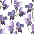 Violet flowers pattern