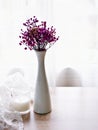 Violet flowers in vase on table Seed of baby\'s breath Gypsophila Paniculata Royalty Free Stock Photo