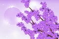 Violet flowers on violet background