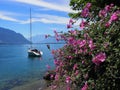 Violet flowers and yacht at promenade in Montreux city in Switzerland