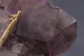 violet fluorite , mineral specimen, stone rock, geology cubic crystals