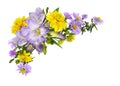 Violet freesias yellow rudbeckia and chrysanthemum flowers in a corner floral arrangement isolated on white Royalty Free Stock Photo