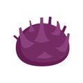 Violet fresh cabbage icon flat isolated vector