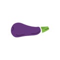 Violet fresh eggplant with black line isolated on white background. HAnd drawn vector simple doodle children illustration. Concept