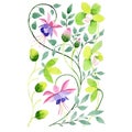 Violet fuchsia and green orchid flowers ornament. Watercolor background set. Isolated ornament illustration element.