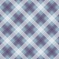 Violet Gingham pattern. Texture from squares for - plaid, tablecloths, clothes, shirts, dresses, paper, bedding, blankets, quilts