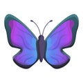 Violet Gradient Butterfly Icon, Cartoon Style