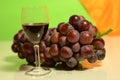 Violet grape and a glass of vine