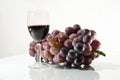 Violet grape and glasses of vine