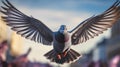 Violet And Gray Pigeon In Flight: Innovative Tilt-shift Photography Royalty Free Stock Photo