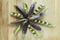 Violet hybrid variety of pea on a wooden desk