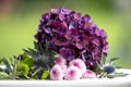 Violet hydrangea, artichoke and pink daisies in beautiful flower arrangement Royalty Free Stock Photo