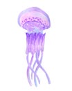 Violet jellyfish ocean and sea water animal isolated on white background. Watercolor hand drawn illustration in cartoon realistic Royalty Free Stock Photo