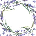 Violet lavender. Floral botanical flower. Frame border ornament square. Royalty Free Stock Photo