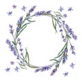 Violet lavender. Floral botanical flower. Frame border ornament square. Royalty Free Stock Photo