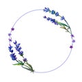 Violet lavender. Floral botanical flower. Frame border ornament square. Royalty Free Stock Photo
