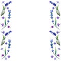 Violet lavender. Floral botanical flower. Frame border ornament square. Royalty Free Stock Photo