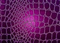 Violet leather background or texture Royalty Free Stock Photo