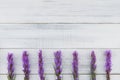Violet liatris flowers on white wood background