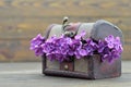 Violet lilac flowers in wooden chest Royalty Free Stock Photo