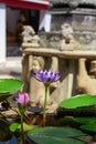 Violet lilies in a stone vase, garden decoration. Vertical orientation.