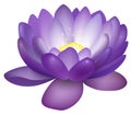 Violet lotus flower illustration Royalty Free Stock Photo