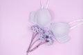 Violet modern lady essentials: bra and cotton panty. Fashionable lingerie, female underwear. Lace gentle panties and br