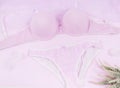 Violet modern lady essentials: bra and cotton panty. Fashionable lingerie, female underwear. Lace gentle panties and bra