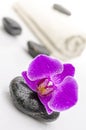 Violet orchid flower on a spa stone Royalty Free Stock Photo