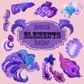 Violet peacock feathers design elements set. Royalty Free Stock Photo