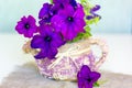 Violet Petunia flowers in a wattled basket