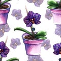 Violet phalaenopsis orchid flower seamless pattern texture