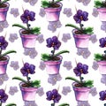 Violet phalaenopsis orchid flower seamless pattern texture