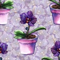 Violet phalaenopsis orchid flower seamless pattern texture