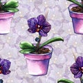 Violet phalaenopsis orchid flower seamless pattern texture