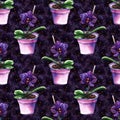 Violet phalaenopsis orchid flower seamless pattern texture