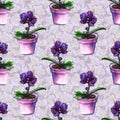 Violet phalaenopsis orchid flower seamless pattern texture