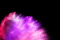 Violet pink powder explosion cloud isolated on black background. Royalty Free Stock Photo