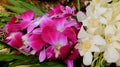 Violet Pink White Orchid With Pandan Leaves Royalty Free Stock Photo