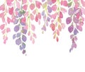 Violet and pink wisteria flowers, watercolor hand painting on white background