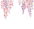 Violet and pink wisteria flowers, watercolor hand painting on white background