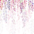 Violet and pink wisteria flowers, watercolor hand painting on white background