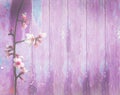 Violet pink wood background spring flowers shabby Royalty Free Stock Photo