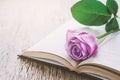 Violet purple rose flower and opened book on wooden background