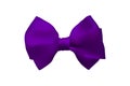 Violet realistic bow.